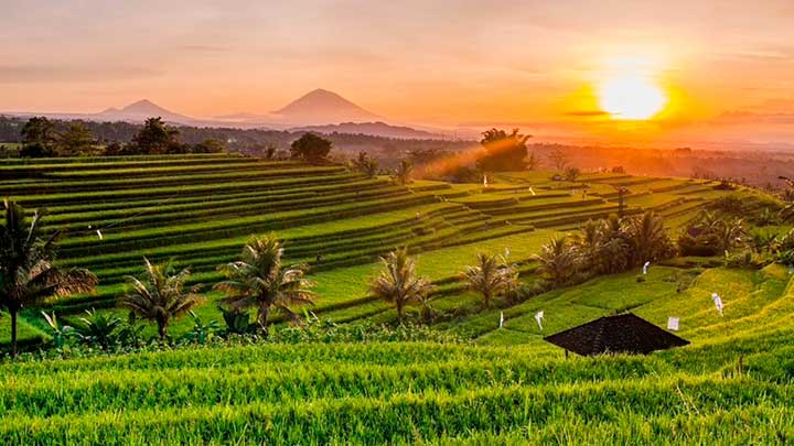 Tips para viajar a Malasia, Singapur y Bali: lo que conviene saber antes de salir