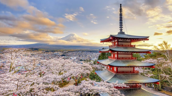 Corea y Japon "Momiji"