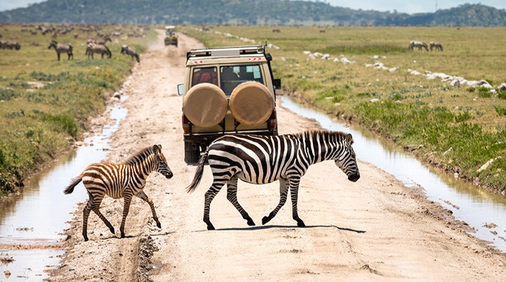Kenia & Tanzania