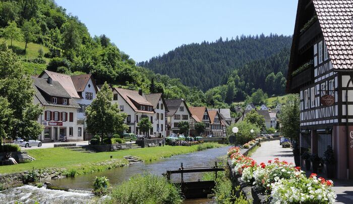 Suiza, Selva Negra & Baviera