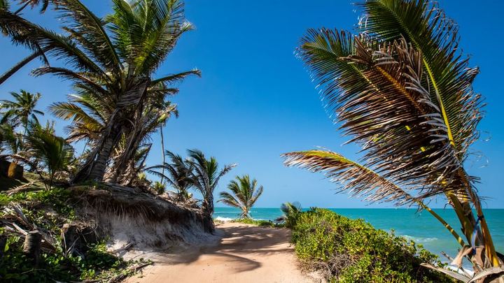 Paraíso Nordeste - Imagen 5