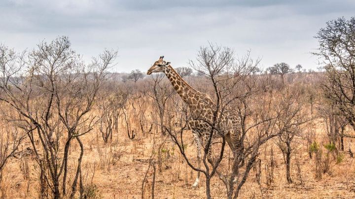Sudafrica & Mauritius - Imagen 2