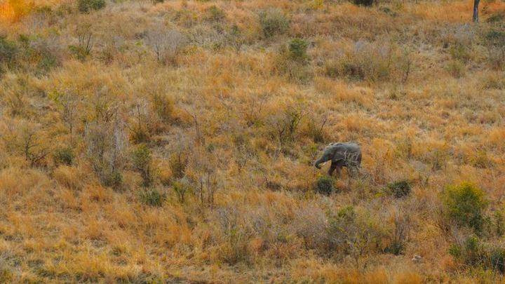 Sudafrica & Mauritius - Imagen 3