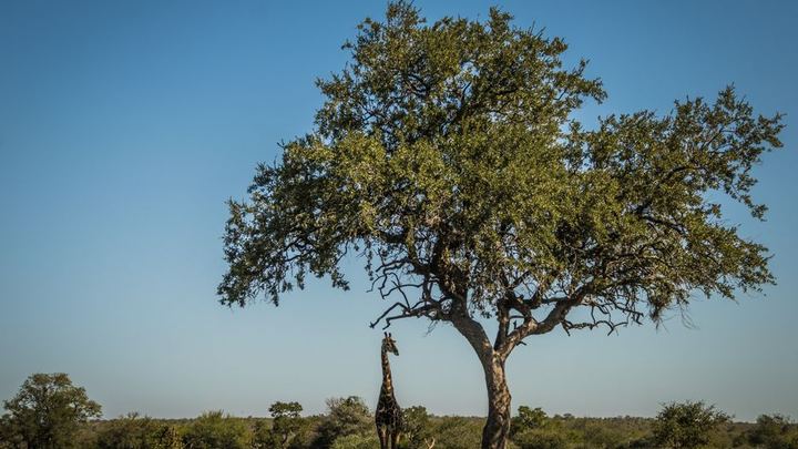 Sudafrica & Mauritius - Imagen 4