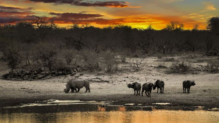 Sudafrica & Mauritius - Imagen 5